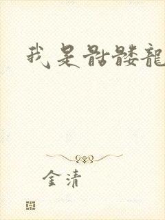 我是骷髅龙骑兵