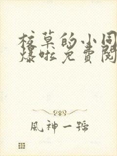 校草的小同桌撩爆啦免费阅读