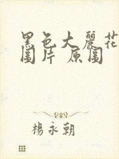 黑色大丽花真实图片 原图