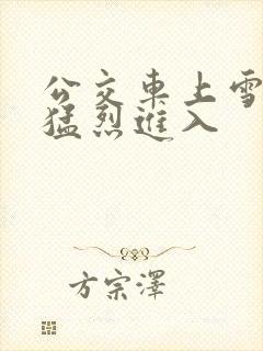 公交车上雪柔被猛烈进入