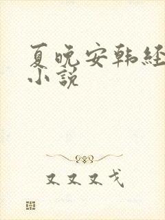 夏晚安韩经年的小说