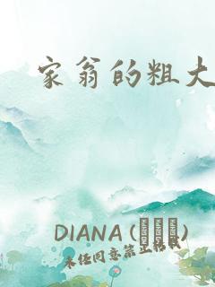 家翁的粗大