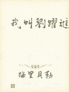 我叫刘跃进下载