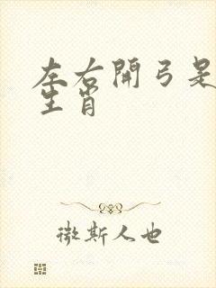 左右开弓是什么生肖