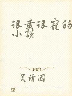 很黄很宠的总裁小说