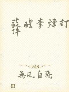 苏醒李炜打架事件