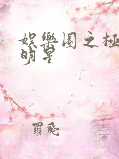 娱乐圈之极品大明星