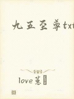 九五至尊txt