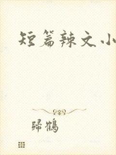 短篇辣文小说