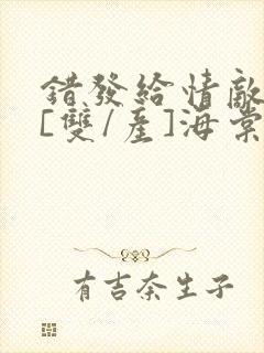 错发给情敌之后[双/产]海棠