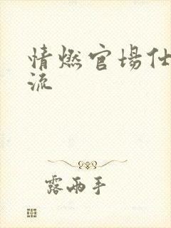 情燃官场仕途风流