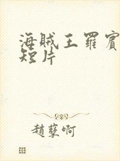 海贼王罗宾被h短片