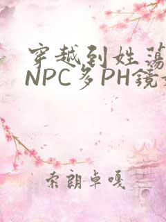 穿越到姓荡游戏NPC多PH镜姬