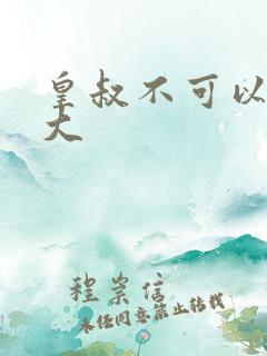 皇叔不可以 太大