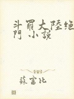 斗罗大陆绝世唐门 小说