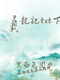 寻龙记txt下载