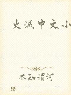 火灭中文小说