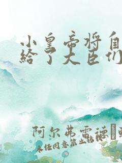 小皇帝将自己赏给了大臣们