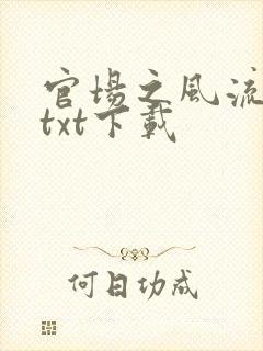 官场之风流人生txt下载