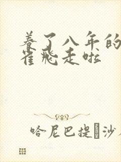 养了八年的金丝雀飞走啦