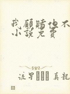 我愿赌但不服输小说免费