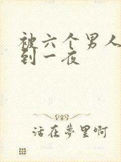 被六个男人躁J到一夜