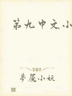 第九中文小说网