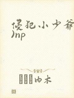 侵犯小少爷(H)np