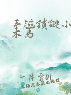 手腕锁链小黑屋木马