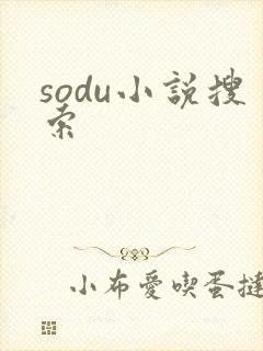 sodu小说搜索