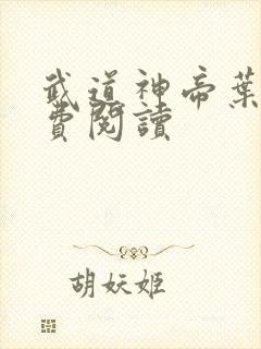 武道神帝叶辰免费阅读