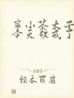 宁小茶太子殿下今天破戒了吗免费阅读