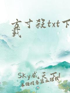 方寸杀txt下载