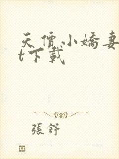 天价小娇妻txt下载