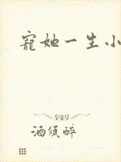 宠她一生小说