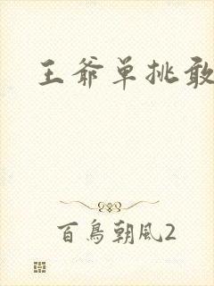 王爷单挑敢不敢