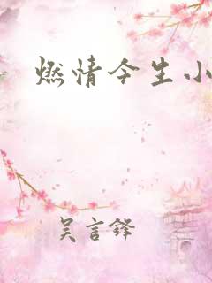 燃情今生小说