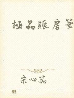 极品账房笔趣阁