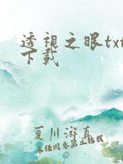 透视之眼txt下载