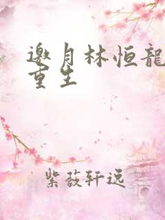 邀月林恒龙凤胎重生