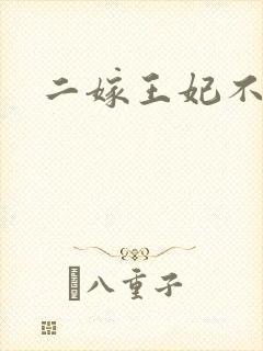 二嫁王妃不好惹
