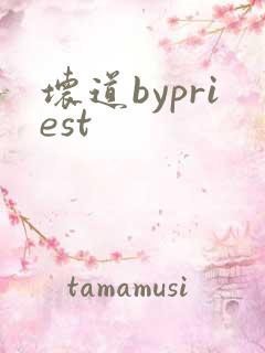坏道bypriest
