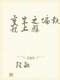 重生之偏执老公宠上瘾