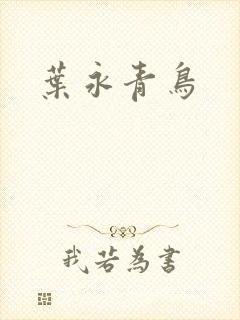 叶永青鸟