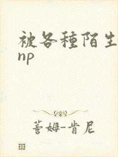 被各种陌生人 np