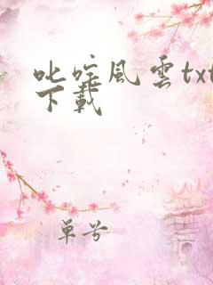 叱咤风云txt下载