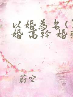 以婚为名 (军婚 高干 婚恋)
