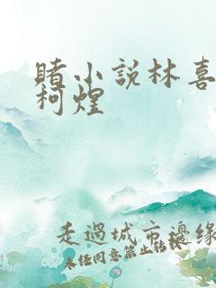 赌小说林喜朝和柯煜