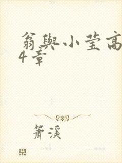 翁与小莹高潮24章