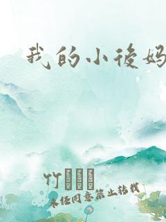 我的小后妈小说